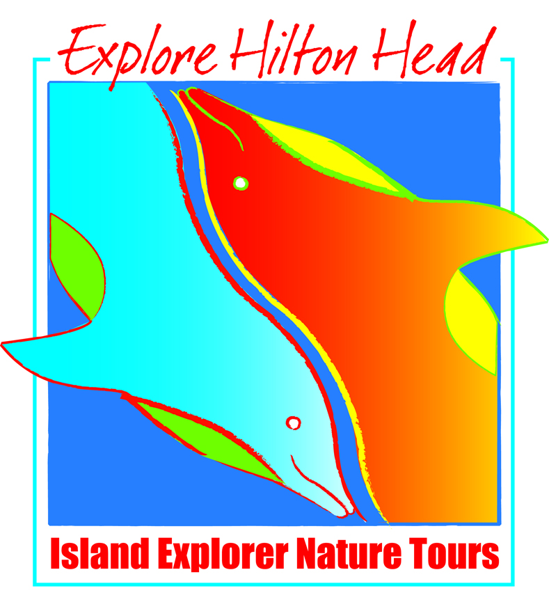island tours hilton head